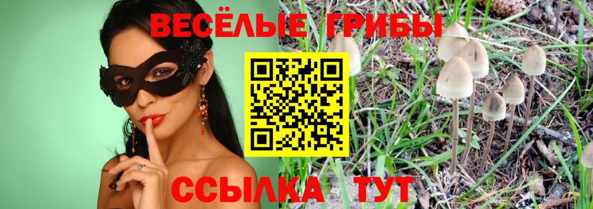 Псилоцибиновые грибы MAGIC MUSHROOMS Кизляр